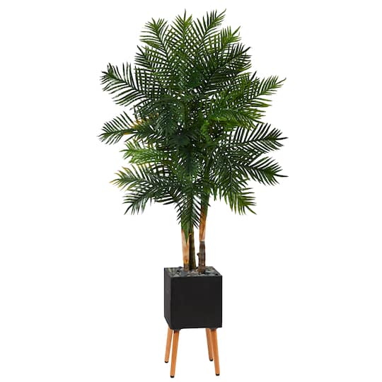 70" Areca Palm Tree in Black Planter with Stand